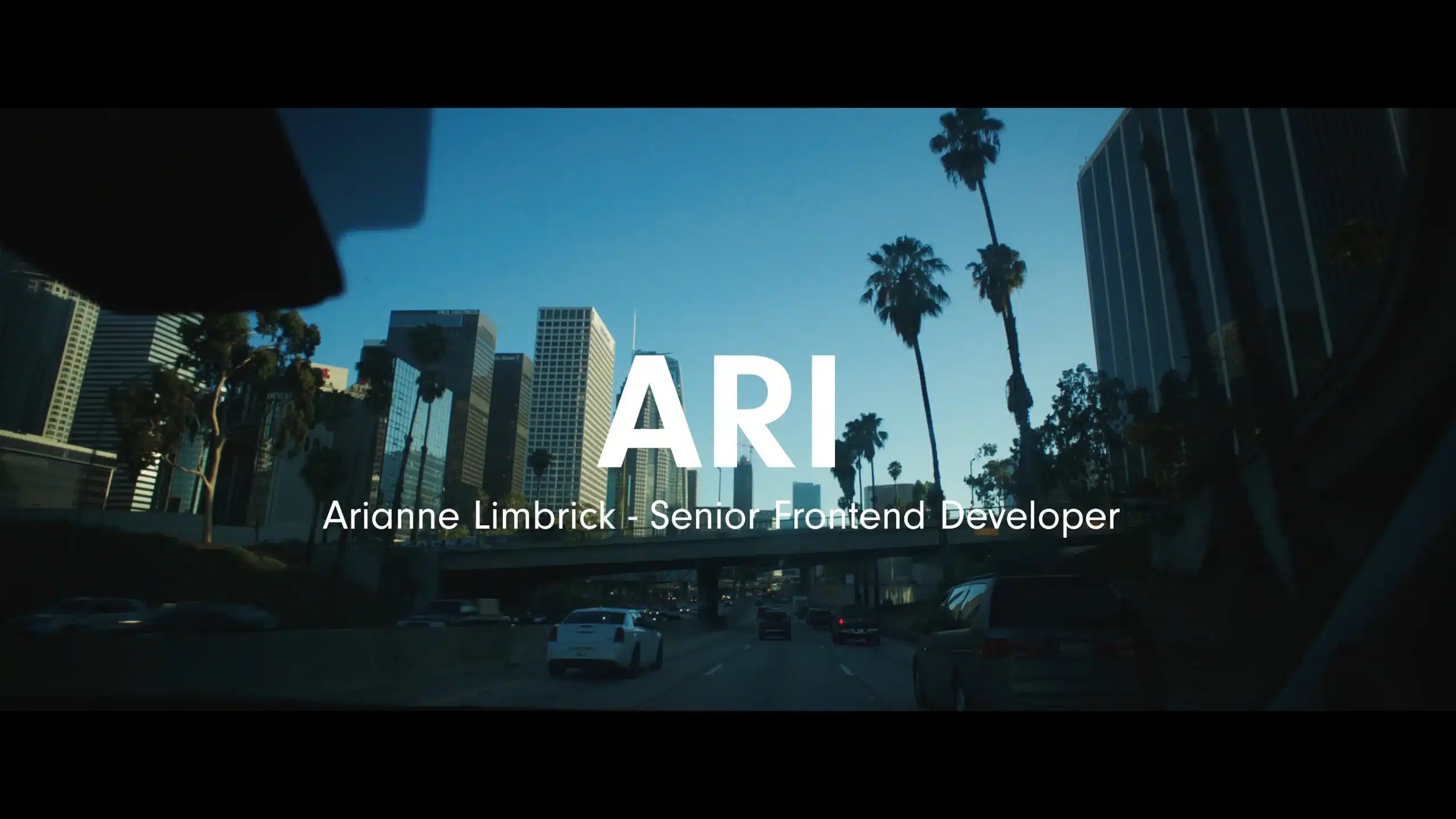 corporate documentary Ari 1