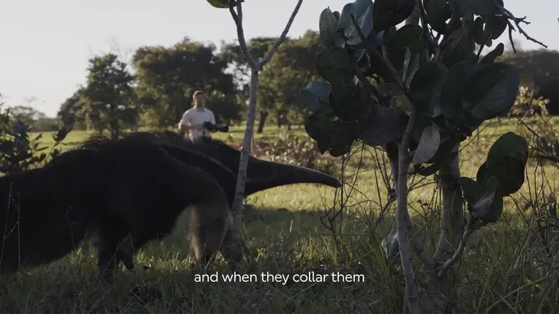 documentary video production company 2026