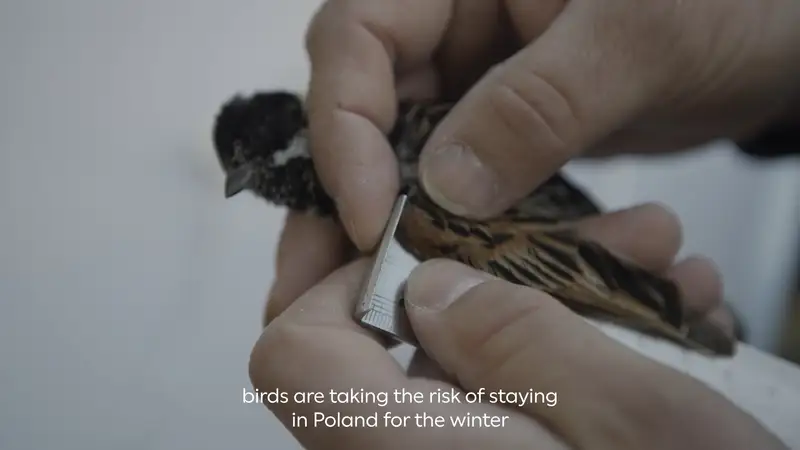 video production for documentaries