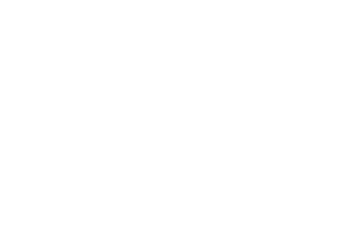 V_A_Logo_White 1
