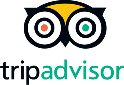 trip advisor video production